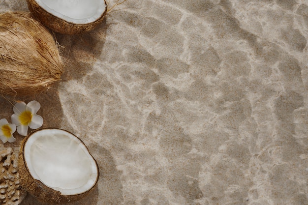 Foto grátis ainda vida debaixo d'água de coco