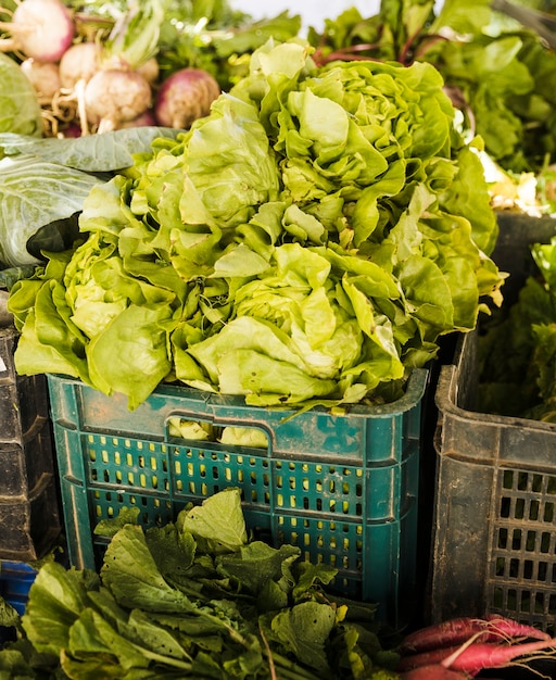 Foto grátis alface verde manteiga à venda no mercado de vegetais