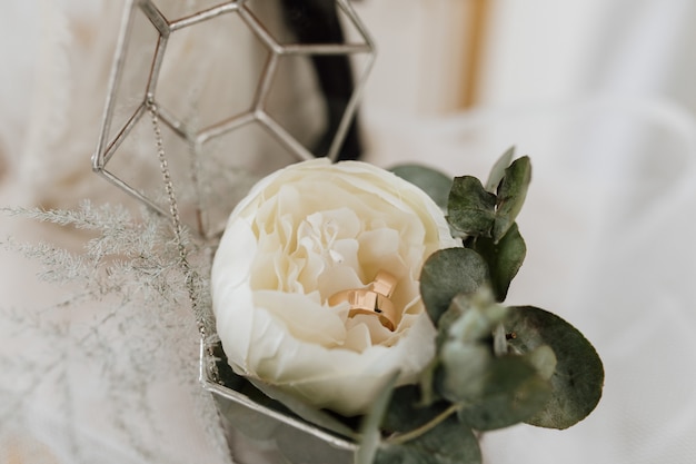 Alianças de casamento dentro de uma flor de peônia