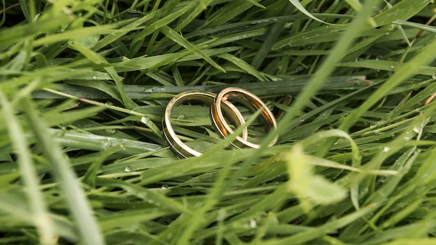 Alianças de casamento na grama