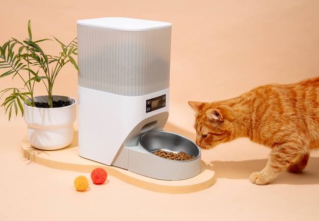 Alimentador inteligente para animais de estimação