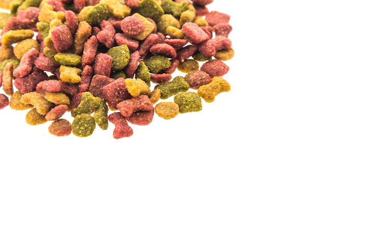 Foto grátis alimentos para cães com diferentes formas
