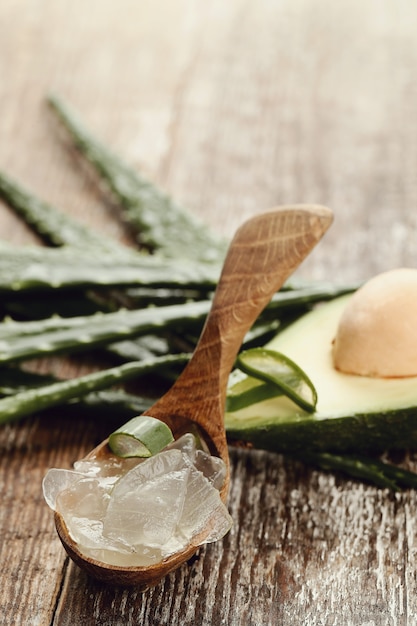 Aloe vera para o conceito de cuidados com a pele