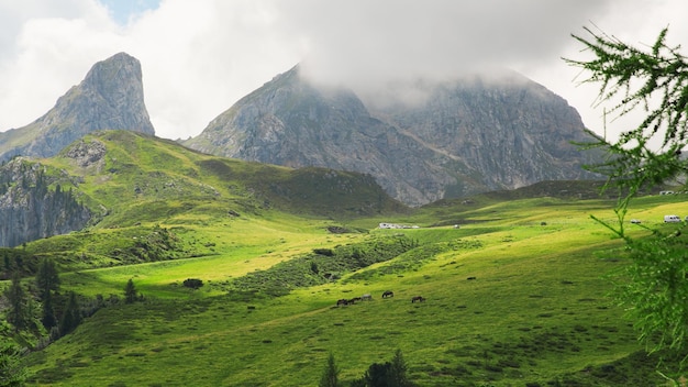 Foto grátis alpes dolomitas na itália