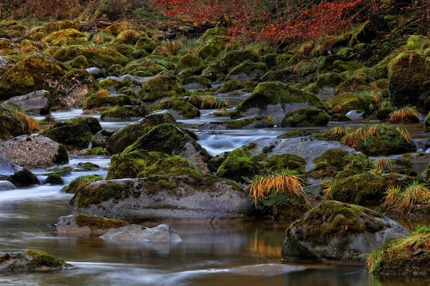 Alta definição de rio que flui em montanha rochosa