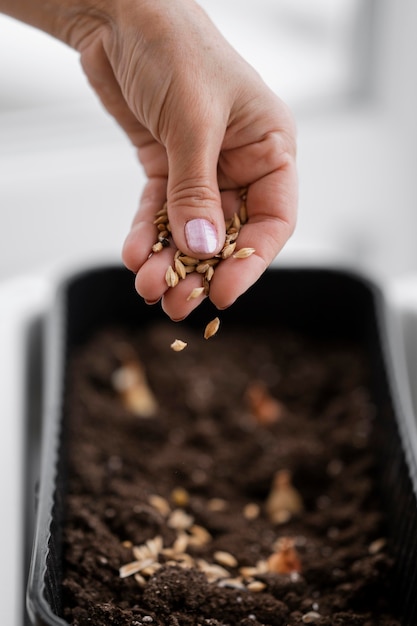 Alto ângulo de mulher espalhando sementes no solo em uma panela