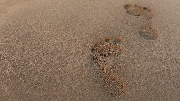 Foto grátis alto ângulo de pegada na areia na praia