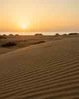 Foto grátis amanhecer nas dunas de maspalomas