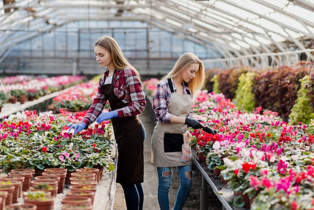 Foto grátis amantes de flores cuidando dele em estufa