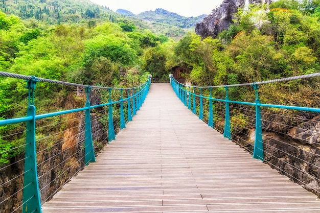 Ambiente, paisagem, vitalidade, manhã, cena, verão