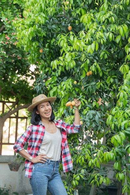 Ameixa mariana, manga mariana ou plango (mayongchit em tailandês) A temporada de colheita vai de fevereiro a março. Mão de mulher agricultora segurando um ramo de ameixa amarela mariana s weet.