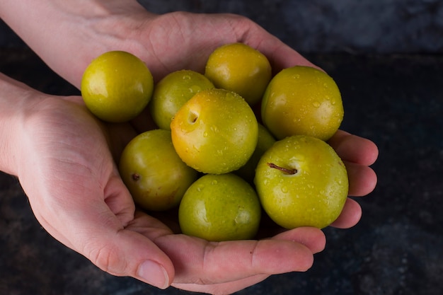 Ameixas de cereja verdes e maçãs nas mãos de uma pessoa