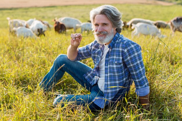 Ancião de alto ângulo com cabras na fazenda