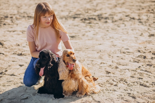 Andador de animais passeando com cocker spaniel