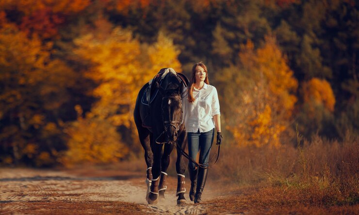 Foto grátis andar a cavalo