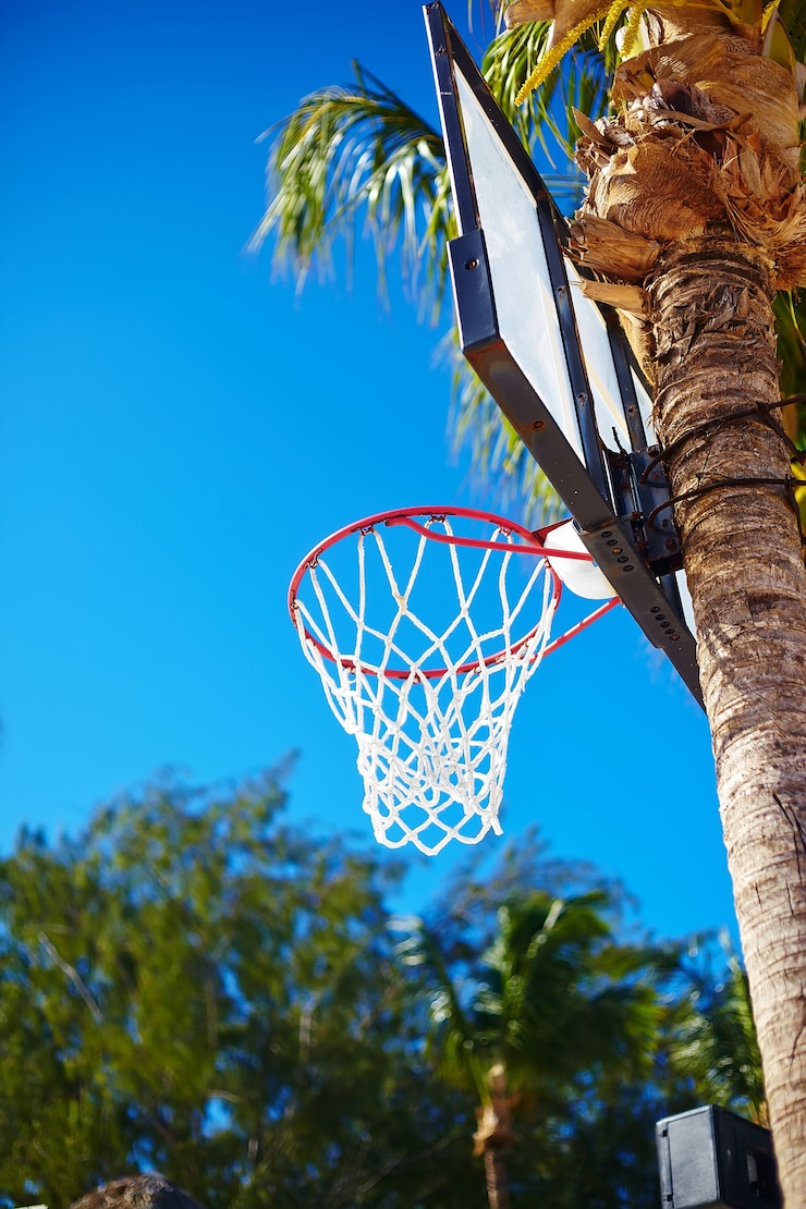 Foto grátis anel de placa de basquete em dia de verão no céu azul e palmeira verde