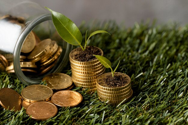 Foto grátis Ângulo alto de duas pilhas de moedas na grama com jarras e plantas