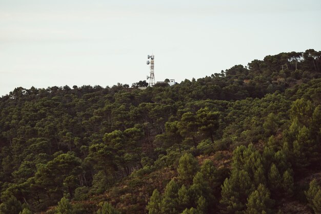 Antena acima da montanha da floresta