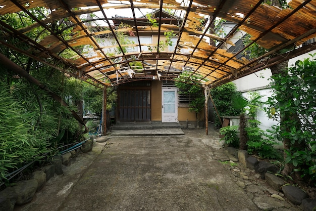 Antiga casa abandonada e plantas verdes