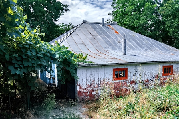 Foto grátis antiga casa rural com cobertura de uva silvestre no quintal