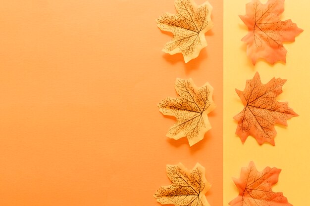 Apartamento leigos de folhas de outono na superfície multicolorida