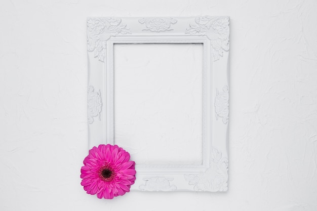 Foto grátis apartamento leigos de quadro com conceito floral