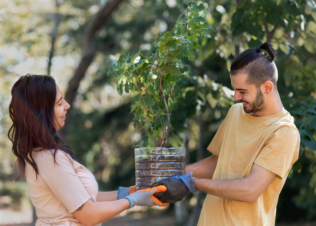 Aproxime-se do plantio de novas plantas na natureza