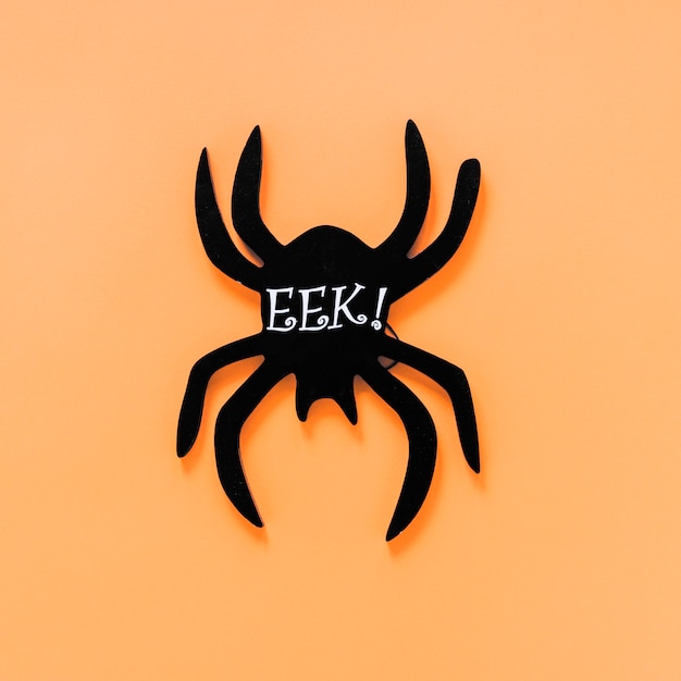 Foto grátis aranha de papel preto com eek! inscrição
