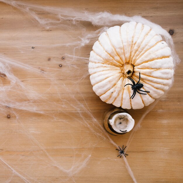 Aranha na abóbora