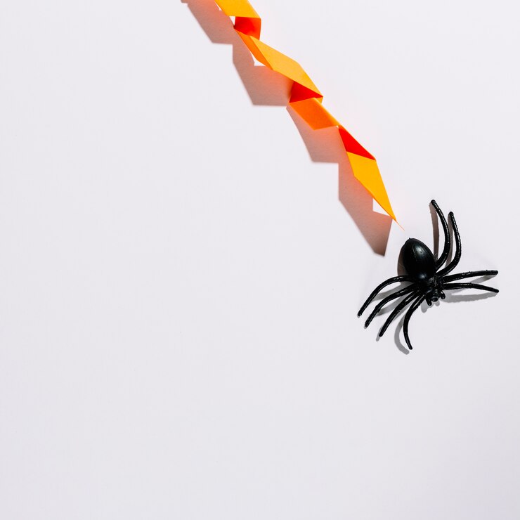 Foto grátis aranha preta com decoração de papel laranja