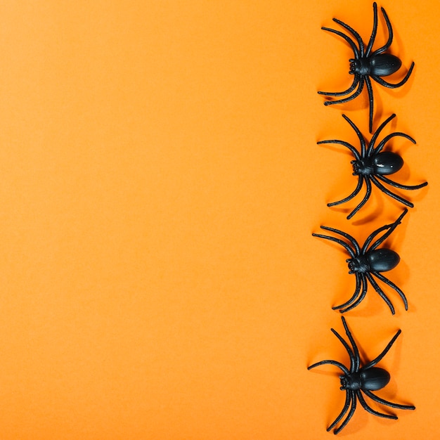 Foto grátis aranhas artificiais negras colocadas na linha