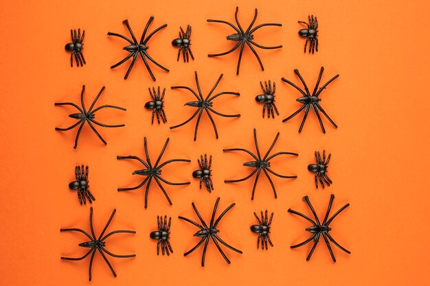 Aranhas assustadoras de Halloween