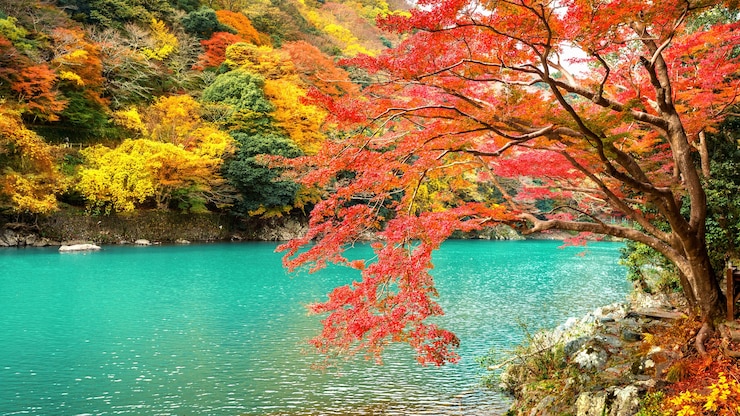 Foto grátis arashiyama na temporada de outono ao longo do rio em kyoto, japão.