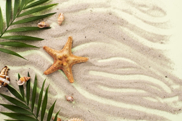 Areia com folhas e estrela do mar