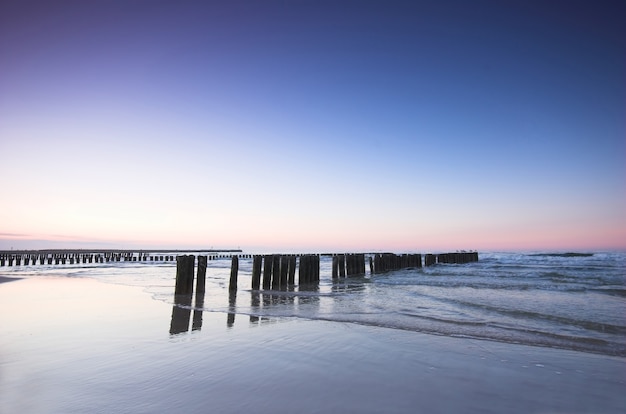 Foto grátis areia molhada