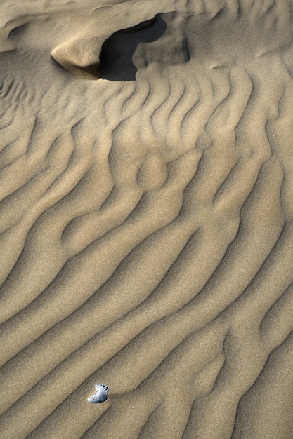 Areias marrons no deserto