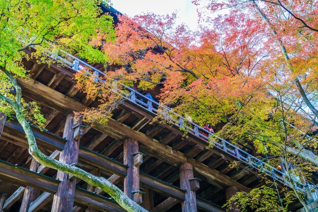 Arquitetura bonita em Kiyomizu-dera Temple Kyoto, Japão