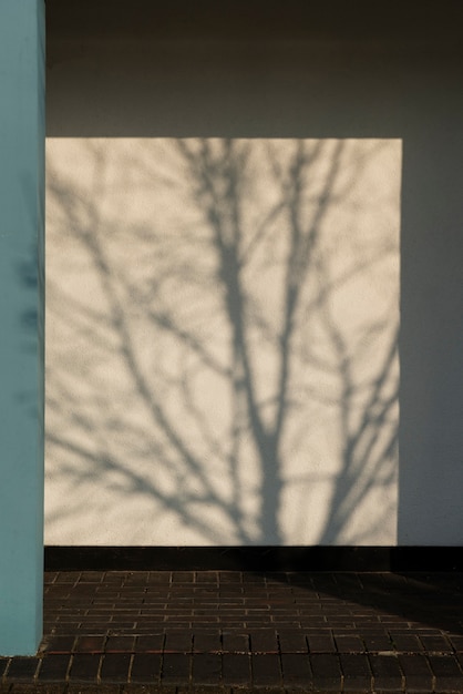 Foto grátis arquitetura e sombras na cidade durante o dia