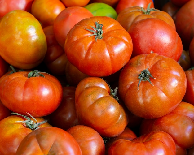 Foto grátis arranjo com tomates frescos