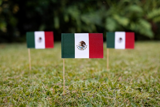 Arranjo de bandeira mexicana na natureza