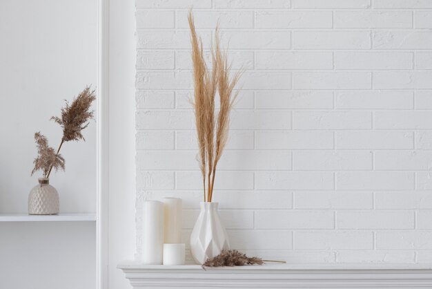 Arranjo de decoração de plantas para casa com espaço de cópia