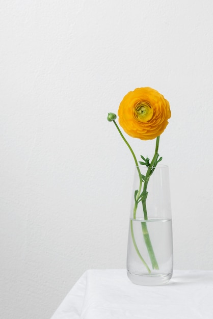 Foto grátis arranjo de flores em vaso de natureza morta