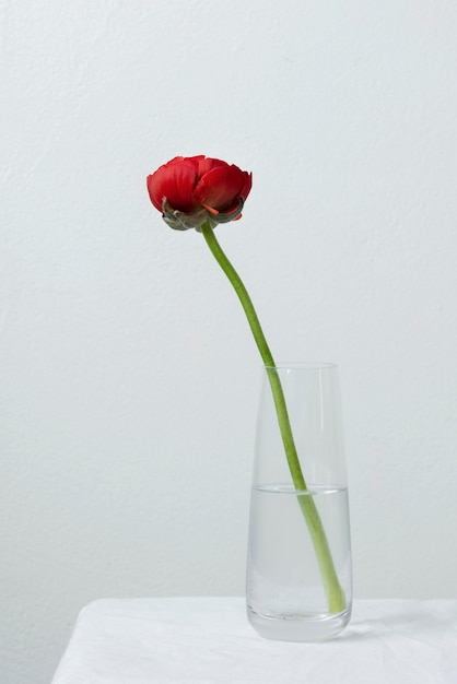 Arranjo de flores em vaso de natureza morta