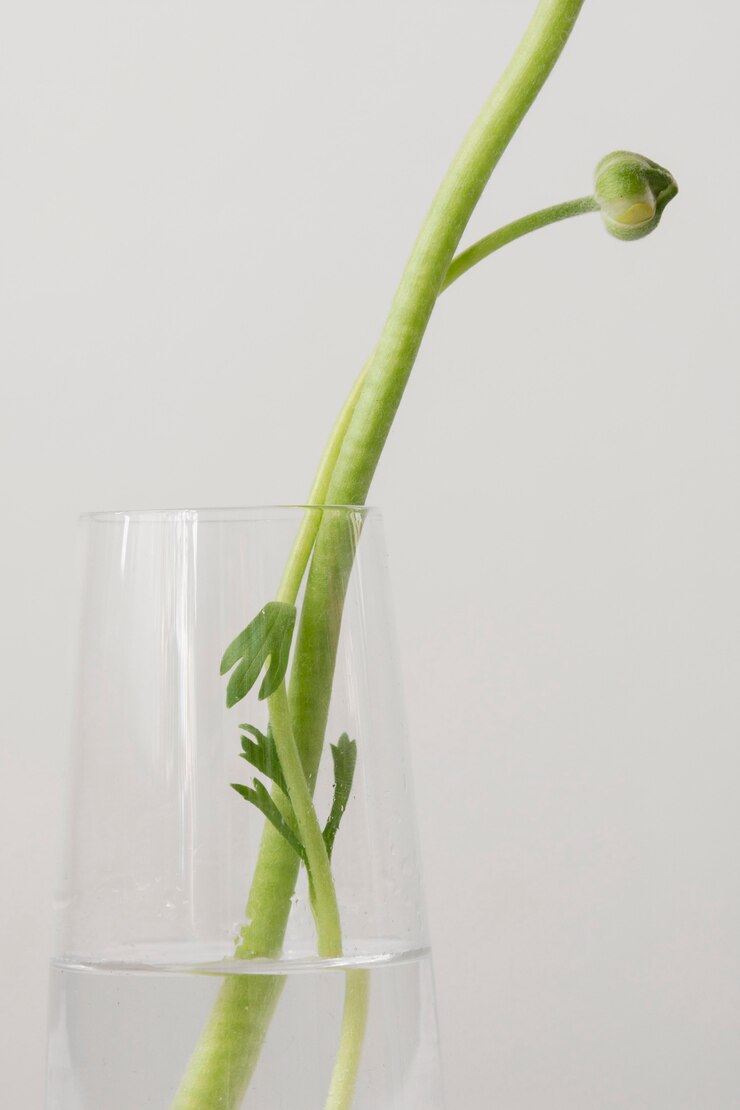 Foto grátis arranjo de natureza morta de flor interior em vaso