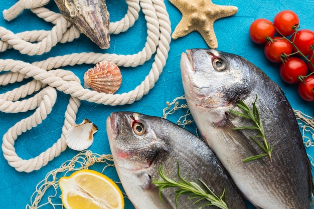 Foto grátis arranjo de peixes com tomates acima da vista