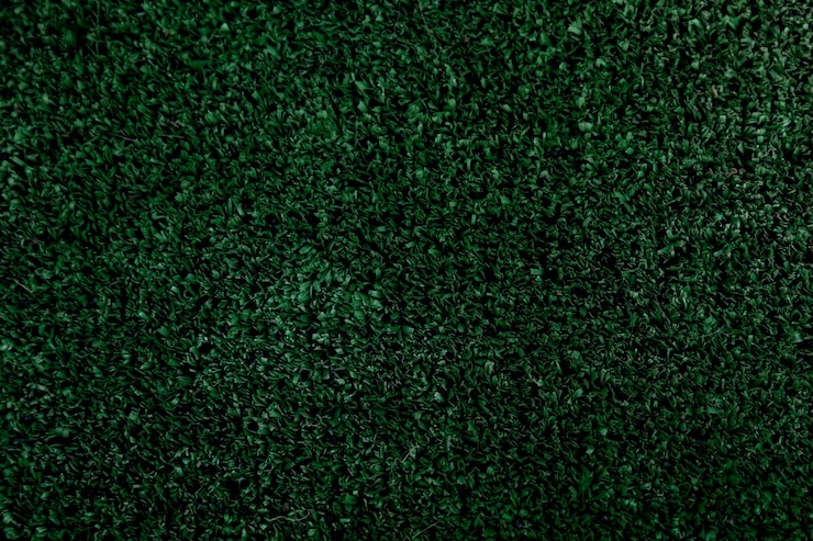 Foto grátis arranjo de vista superior com plantas verdes