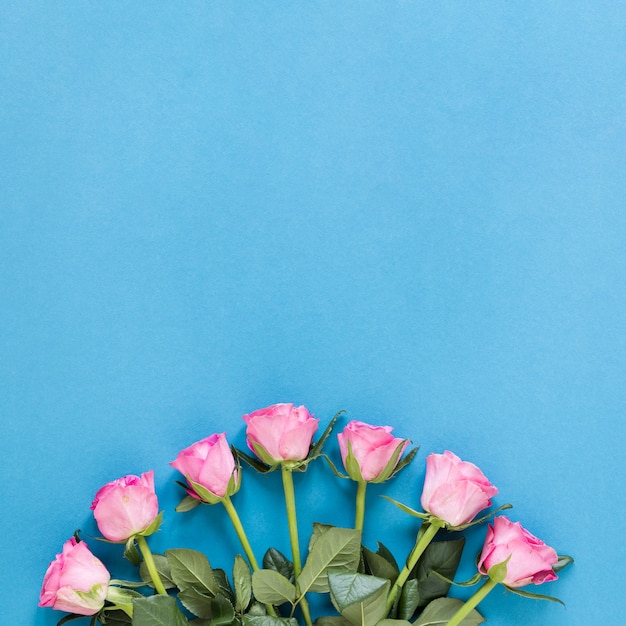 Foto grátis arranjo de vista superior de rosas com espaço de cópia