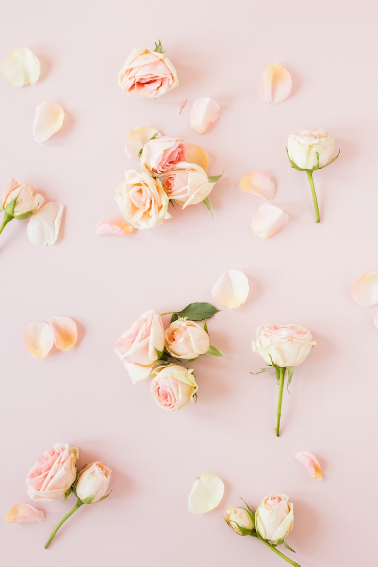 Foto grátis arranjo de vista superior de rosas e pétalas elegantes