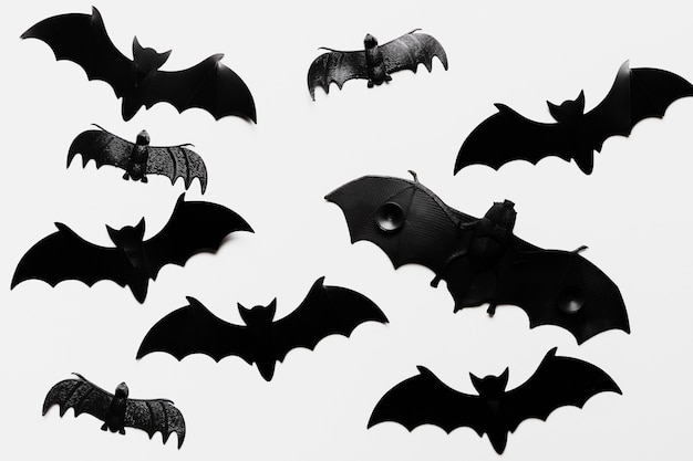 Arranjo liso leigo com morcegos