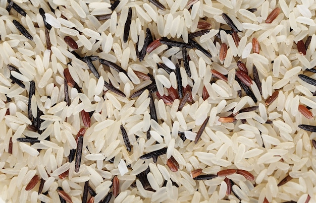 Arroz branco e marrom